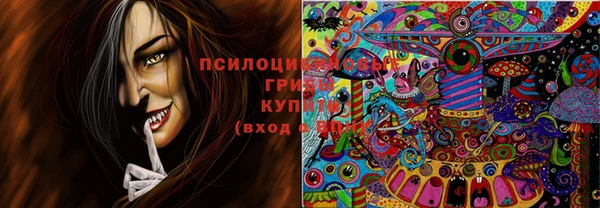 тгк Алексеевка