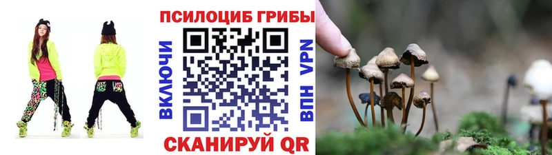 blacksprut как зайти  Ачхой-Мартан  Галлюциногенные грибы мухоморы 