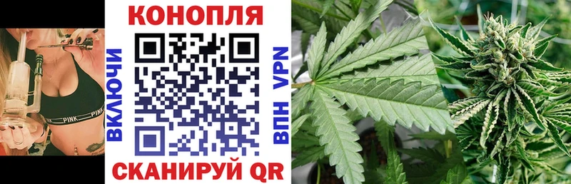 купить закладку  Ачхой-Мартан  МАРИХУАНА THC 21% 